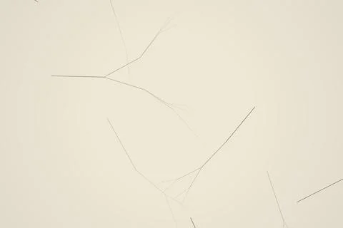 Minimal abstract background with thin lines on beige Stock Illustration