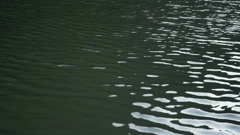 Minimal abstract reflections on water Stock Footage 220718693