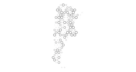 Minimal Animated Argentina Dot Map Stock Footage 312347463