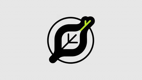 Minimal Animated Leaf Growth Line Icon with Transparent Alpha Channel Vídeos de archivo 337376925