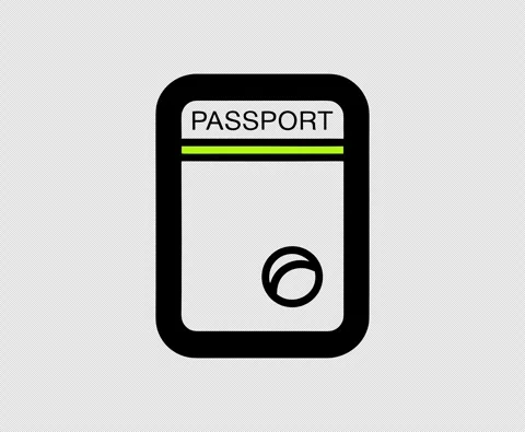 Minimal Animated Line Icon Passport Loop with Transparent Background 库存影片 337375253