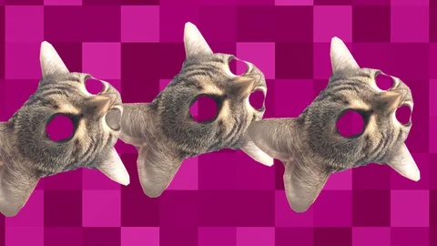 Minimal Animation Kitty Cat Pop Art Funny Clip 库存影片 128653089