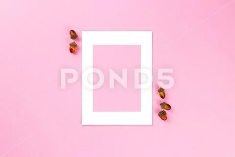 Minimal autumn composition. Photo frame and acorns on pink pastel background. Stock Photos
