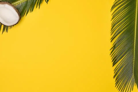 Minimal beach composition on yellow background. Coconut and palm leaves, on y Stock Photos