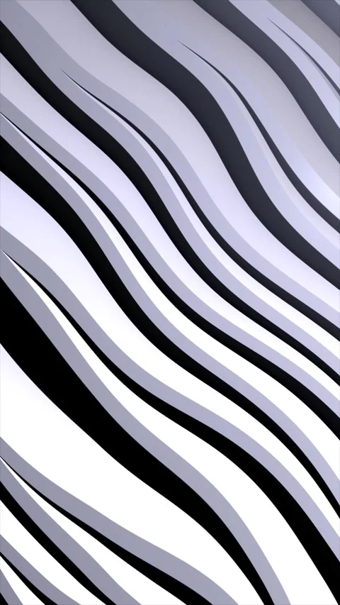 Minimal black and white abstract wavy pattern with smooth flowing lines and.. Stock Footage 319339968