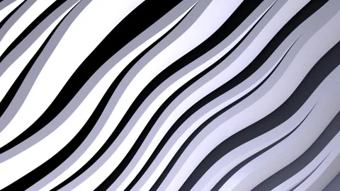 Minimal black and white abstract wavy pattern with smooth flowing lines Stock Footage 321406765