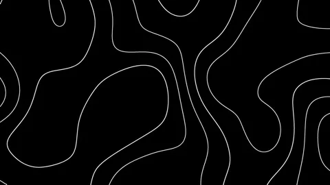 Minimal black background with flowing white contour lines forming abstract to Stock Footage 328448678