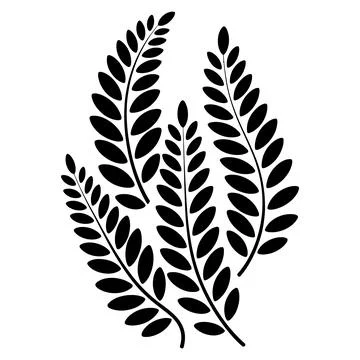 Minimal Black Botanical Leaf Branch Silhouette Set Vector Illustration Stock Illustration