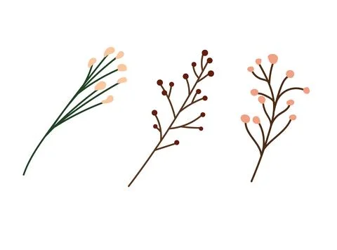 Minimal botanical branches set with berries and buds, simple flat vector il.. Illustrazione stock
