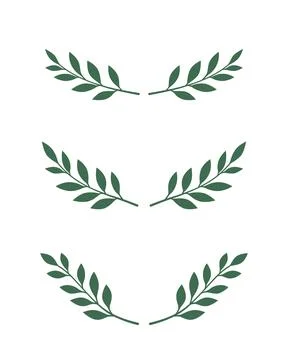 Minimal botanical branches set green leaves frames laurel wreath elements white Stock Illustration
