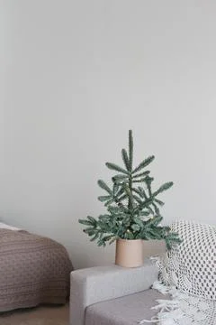 Minimal christmas tree Stock Photos