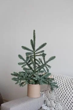 Minimal christmas tree Stock Photos