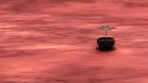 Minimal clover plant on deep red textured surface with soft motion Stock Illustration