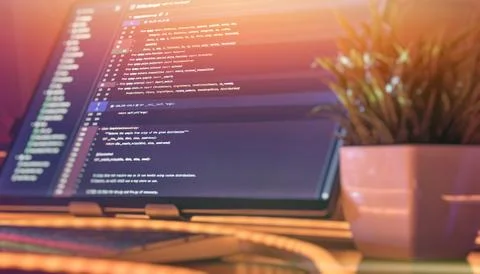 Minimal coding workspace with plant and warm lighting Stock-Fotos