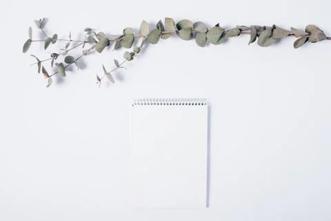 Minimal composition of blank notepad and eucalyptus branch Stock Photos