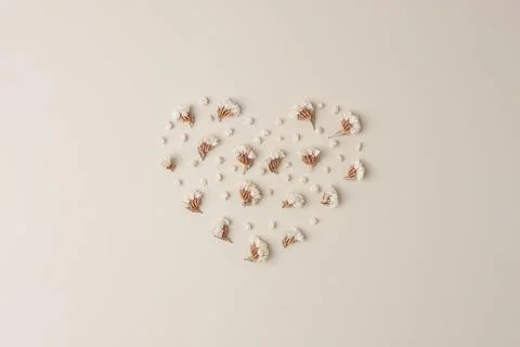 Minimal composition with a heart shape of flowers on pastel beige background. Stock Photos
