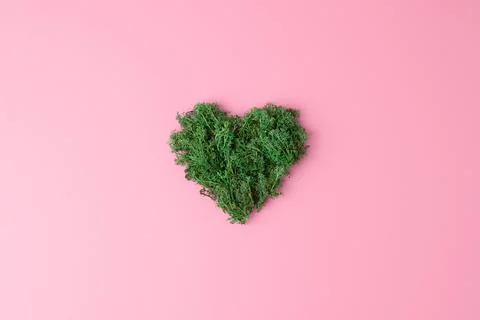 Minimal composition with moss on pink background. Flat lay, copy space. Stock Photos