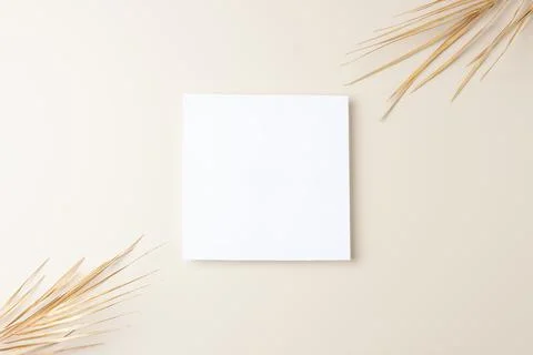 Minimal composition with palm leaf on pastel beige background. Flat lay, copy Stock Photos