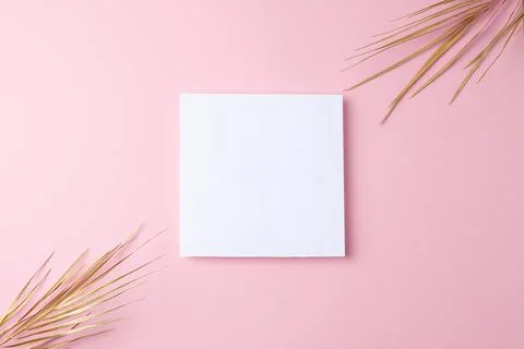 Minimal composition with palm leaf on pink background. Flat lay, copy space Stock Photos