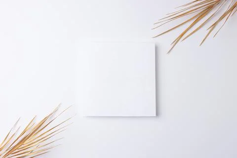 Minimal composition with palm leaf on white background. Flat lay, copy space Stock Photos