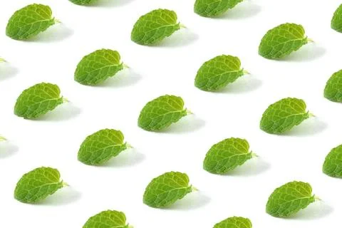 Minimal composition pattern background of green mint leaves on white isola... Foto stock
