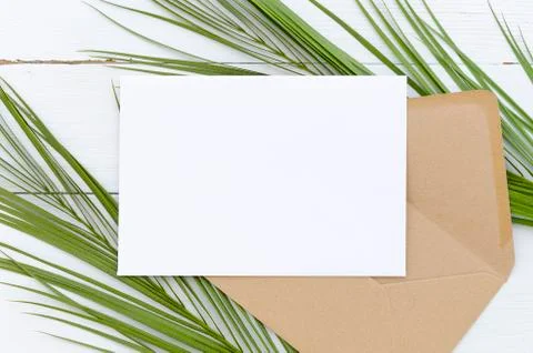 Minimal composition white blank card and envelope on palm leaves on a white Stock Photos