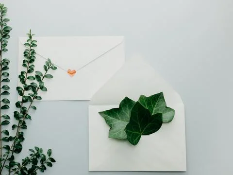 Minimal composition with a white envelope, heart and green leaves 写真素材