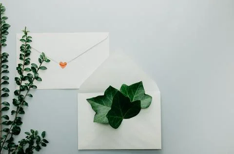 Minimal composition with a white envelope, heart and green leaves Stock Photos