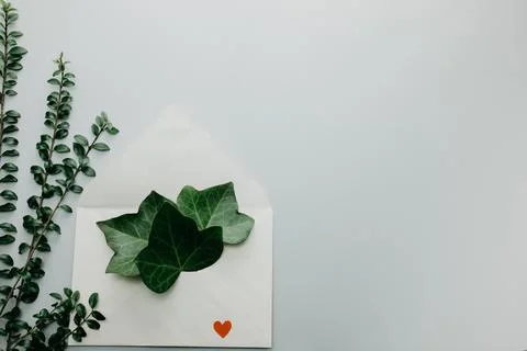 Minimal composition with a white envelope, heart and green leaves Stock Photos