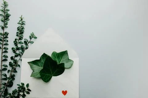 Minimal composition with a white envelope, heart and green leaves Stock Photos