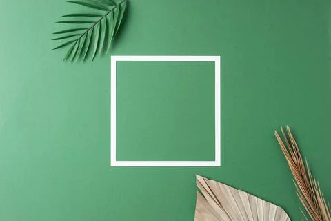 Minimal composition with white frame and palm leaf on green background. Flat  Stock Photos