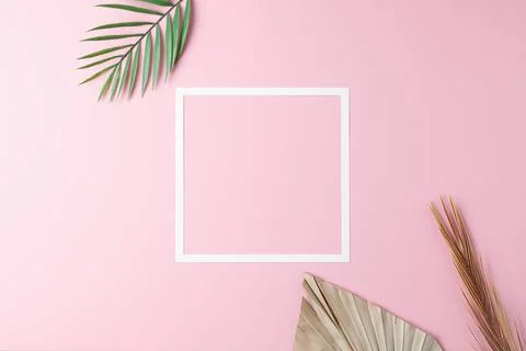 Minimal composition with white frame and palm leaf on pink background. Flat l Stock Photos