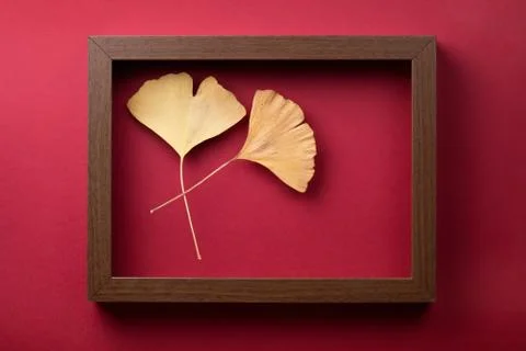 Minimal Composition With Wooden Frame Stock Photos