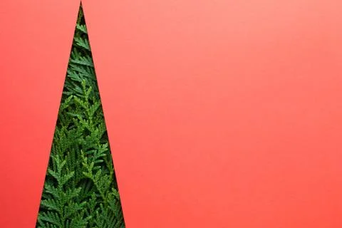 Minimal Creative Christmas Tree Made Of Thuja Stock Photos