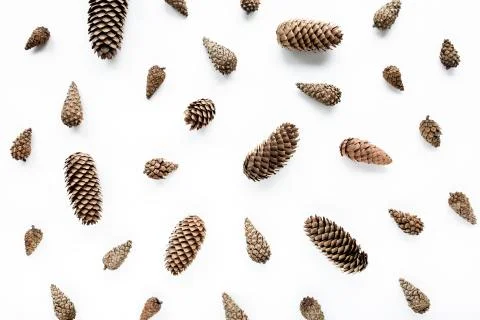 Minimal creative cone pattern arrangement on white. flat lay, top view Foto stock
