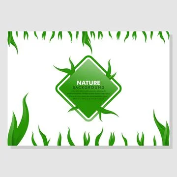Minimal Creative Nature Background. Modern Horizontal Composition. Abstract I Stock Illustration