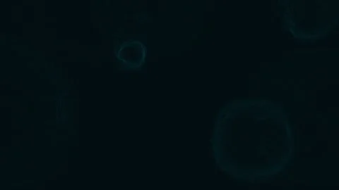 Minimal Dark Circular Abstract Background with Subtle Wave Patterns Stock Footage 310664746