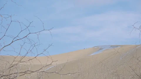 Minimal Desert Sand Dune with Bare Branches Background Stock Footage 326031060