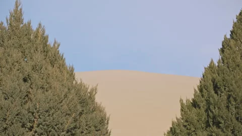 Minimal Desert Sand Dune with Pine Trees Framing Stock-Footage 326030763