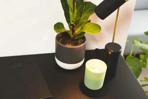 Minimal design composition of a lamp and an office plant inside an architect  Stock Photos