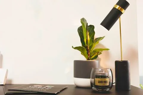 Minimal design composition of a lamp and an office plant inside an architect  Stock Photos