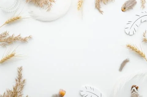 Minimal design frame on white background. Color feathers, spikelets flat lay Stock Photos