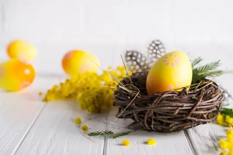 Minimal easter composition. Yellow decorative chicken egg in the nest. Mimosa Stock Photos