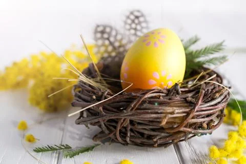 Minimal easter composition. Yellow decorative chicken egg in the nest. Mimosa Foto stock