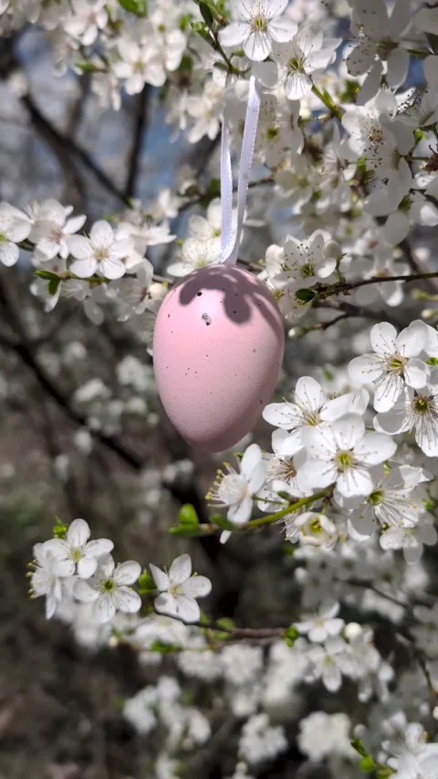 Minimal Easter decoration with pastel egg hanging among white spring flowers Stock Footage 306058327