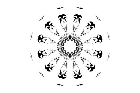 Minimal Elegant Mandala Black White Circle Design Stock Illustration