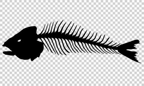 Minimal Fish Bone Silhouette in Clean Side Profile Stock Illustration