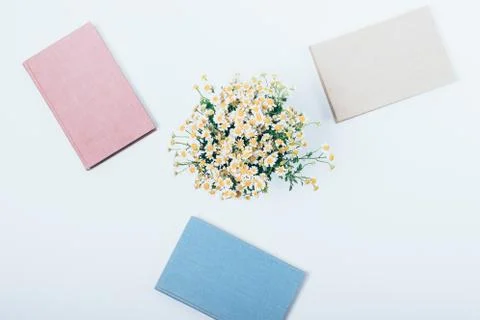 Minimal flat lay composition of three books 库存照片