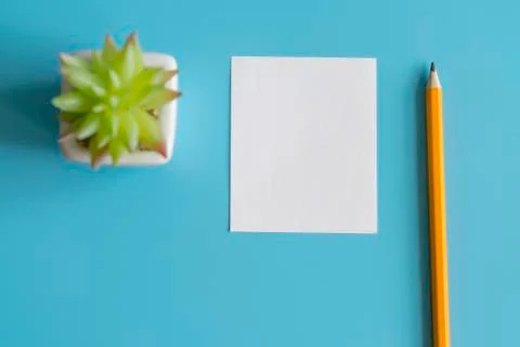 Minimal flat lay : notepad , pencil , cactus , on light blue pastel backgroun Stock Photos