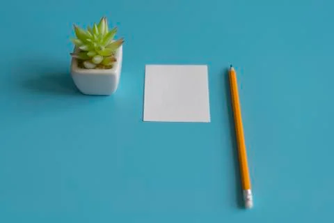 Minimal flat lay : notepad, pencil, cactus, on light blue pastel background , Stock Photos
